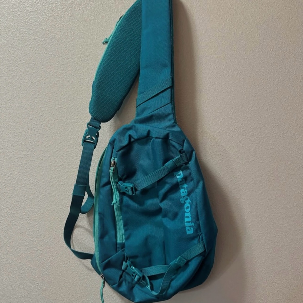 Patagonia Blue Belt Bag